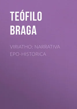 Teófilo Braga Viriatho: Narrativa epo-historica обложка книги