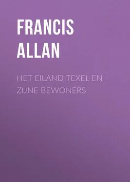 Francis Allan Het Eiland Texel en Zijne Bewoners обложка книги