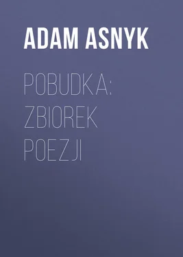 Adam Asnyk Pobudka: zbiorek poezji обложка книги