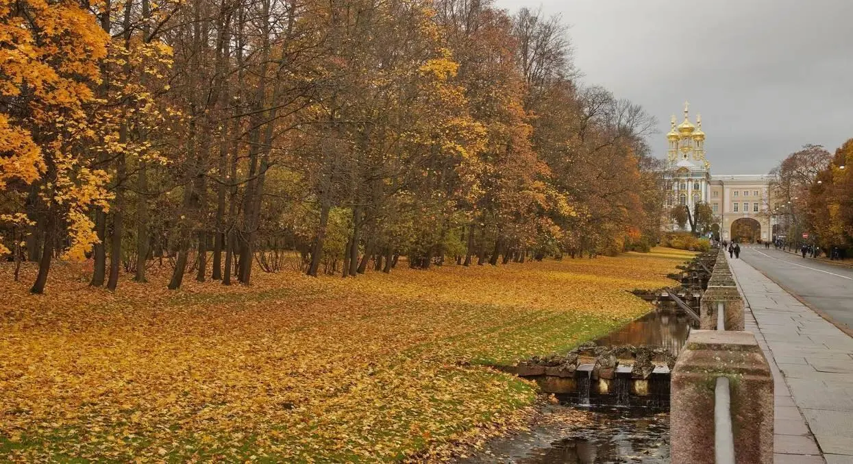 ОСЕНЬ 1811го Она была как дева хороша Открывшая объятья пилигриму В ней - фото 12