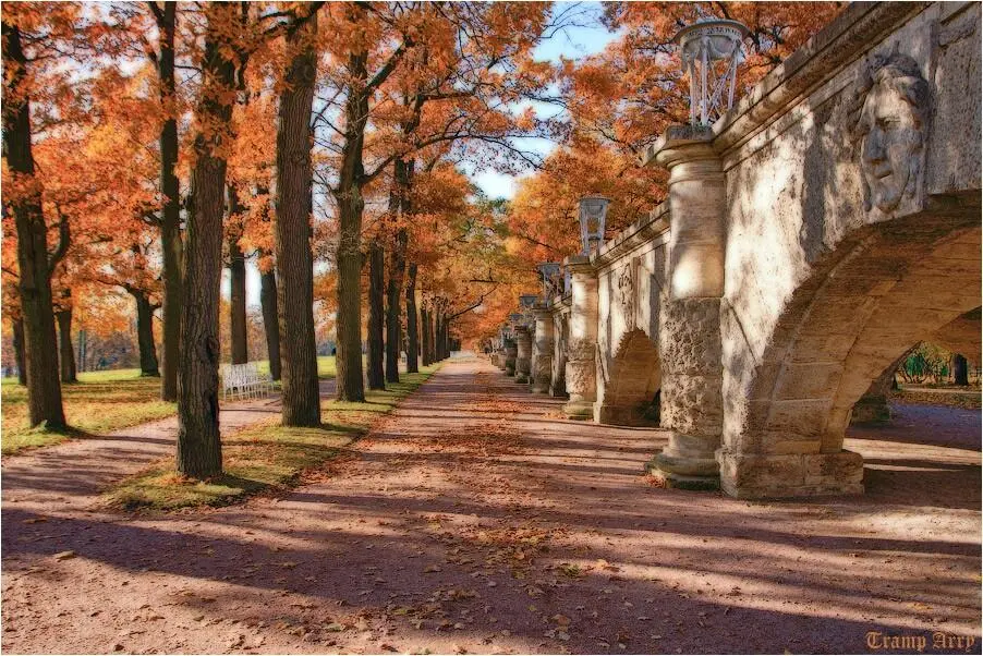 МЕДИТАТИВНЫЕ МГНОВЕНИЯ Свинцовых волн поток к мосту стремится Нева грустит в - фото 25