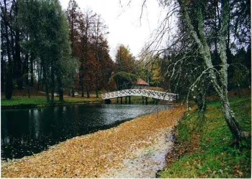 Всё ждёт красавицу весну Разламывая тишину Вдруг зажурчит струистой влагой - фото 81