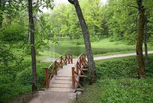 Библиотека в Тригорском Здесь в Тригорском среди множества прекрасных - фото 85