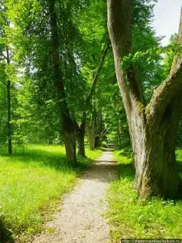 Библиотека в Тригорском Здесь в Тригорском среди множества прекрасных - фото 86