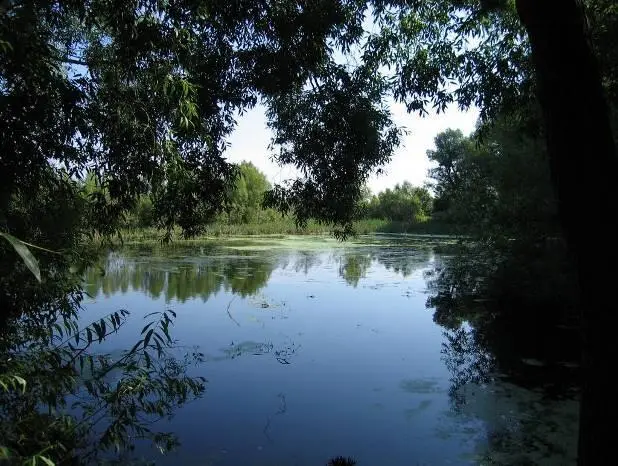 Вина причастия которого алкала Тетрадь Поэта и родная сторона Здесь всё - фото 87