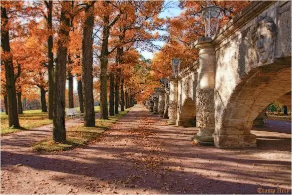 ОСЕНЬ 1811го Она была как дева хороша Открывшая объятья пилигриму В ней - фото 10