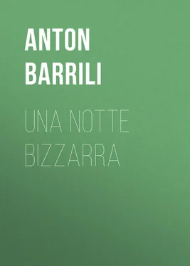 Anton Barrili Una notte bizzarra обложка книги