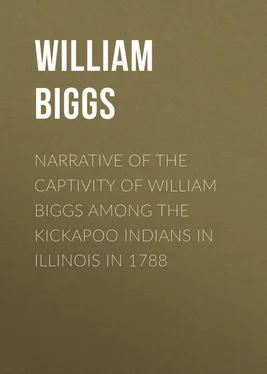 William Biggs Narrative of the Captivity of William Biggs among the Kickapoo Indians in Illinois in 1788 обложка книги