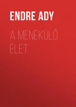 Endre Ady A menekülő Élet обложка книги