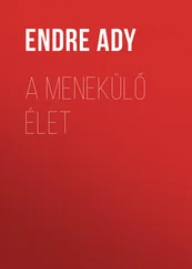 Endre Ady - A menekülő Élet