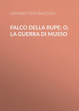 Giambattista Bazzoni Falco della rupe; O, La guerra di Musso обложка книги