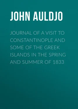 John Auldjo Journal of a Visit to Constantinople and Some of the Greek Islands in the Spring and Summer of 1833 обложка книги
