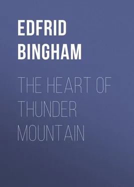 Edfrid Bingham The Heart of Thunder Mountain обложка книги