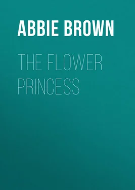 Abbie Brown The Flower Princess обложка книги