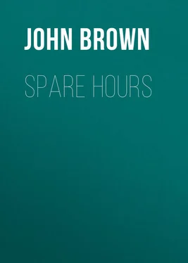 John Brown Spare Hours обложка книги