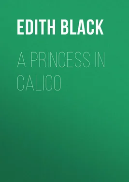 Edith Black A Princess in Calico обложка книги