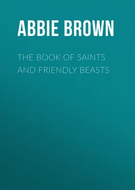 Abbie Brown The Book of Saints and Friendly Beasts обложка книги