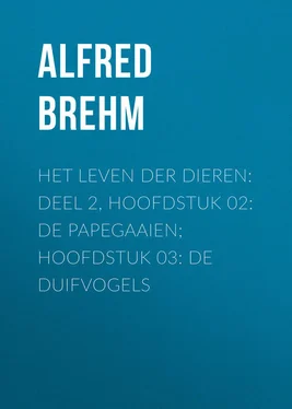 Alfred Brehm Het Leven der Dieren: Deel 2, Hoofdstuk 02: De Papegaaien; Hoofdstuk 03: De Duifvogels обложка книги