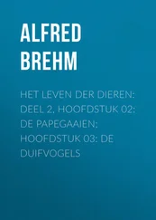 Alfred Brehm - Het Leven der Dieren - Deel 2, Hoofdstuk 02 - De Papegaaien; Hoofdstuk 03 - De Duifvogels