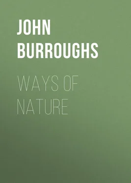 John Burroughs Ways of Nature обложка книги