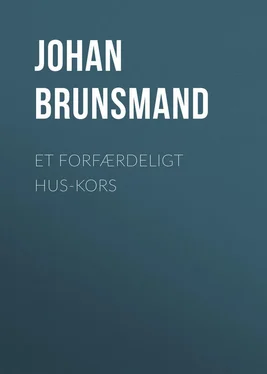 Johan Brunsmand Et forfærdeligt Hus-Kors обложка книги