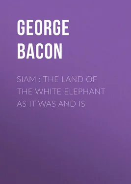 George Bacon Siam : The Land of the White Elephant as It Was and Is обложка книги