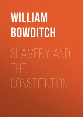 William Bowditch Slavery and the Constitution обложка книги
