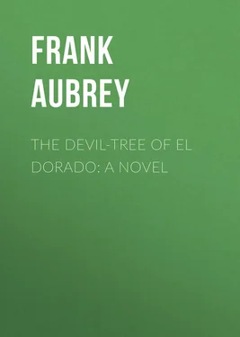 Frank Aubrey The Devil-Tree of El Dorado: A Novel обложка книги