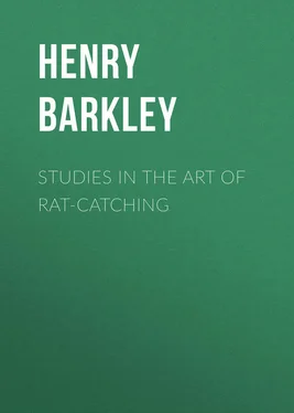 Henry Barkley Studies in the Art of Rat-catching обложка книги