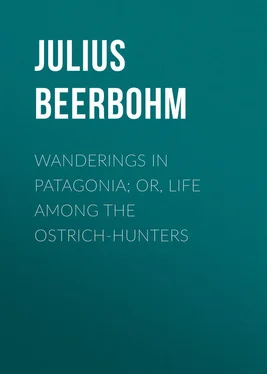 Julius Beerbohm Wanderings in Patagonia; Or, Life Among the Ostrich-Hunters обложка книги