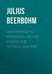 Julius Beerbohm - Wanderings in Patagonia; Or, Life Among the Ostrich-Hunters