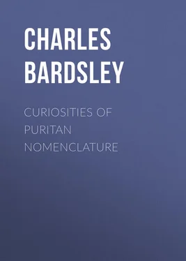 Charles Bardsley Curiosities of Puritan Nomenclature обложка книги