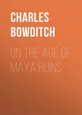 Charles Bowditch On the Age of Maya Ruins обложка книги