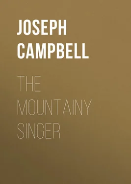Joseph Campbell The Mountainy Singer обложка книги