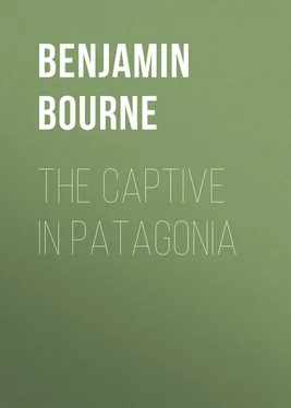 Benjamin Bourne The Captive in Patagonia обложка книги