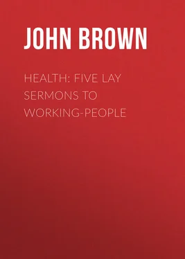 John Brown Health: Five Lay Sermons to Working-People обложка книги