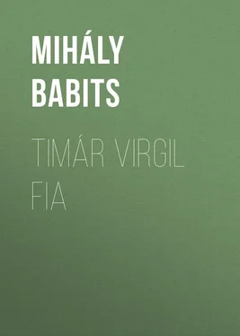 Mihály Babits Timár Virgil fia обложка книги