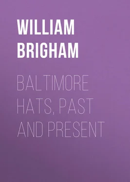 William Brigham Baltimore Hats, Past and Present обложка книги