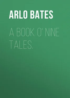 Arlo Bates A Book o' Nine Tales. обложка книги