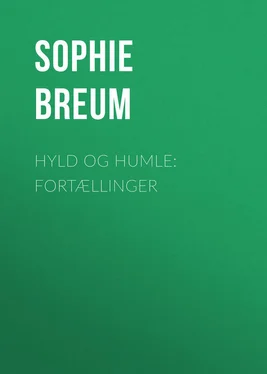 Sophie Breum Hyld og Humle: Fortællinger обложка книги