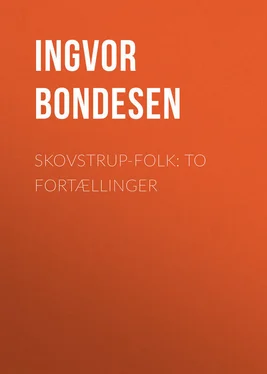 Ingvor Bondesen Skovstrup-Folk: To Fortællinger обложка книги