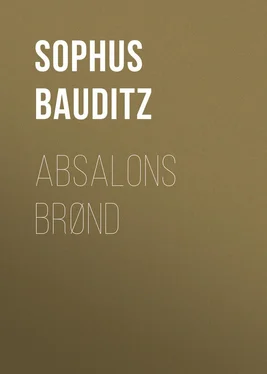 Sophus Bauditz Absalons Brønd обложка книги