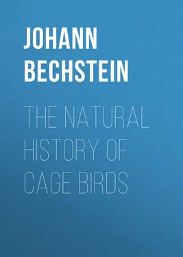 Johann Bechstein The Natural History of Cage Birds обложка книги