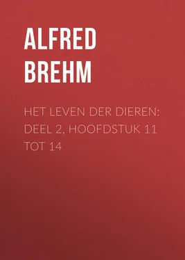 Alfred Brehm Het Leven der Dieren: Deel 2, Hoofdstuk 11 tot 14 обложка книги