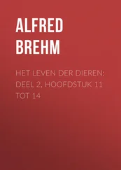 Alfred Brehm - Het Leven der Dieren - Deel 2, Hoofdstuk 11 tot 14