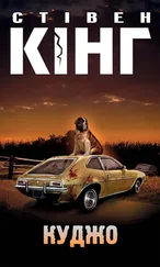 Стівен Кінг - Куджо