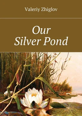 Valeriy Zhiglov Our Silver Pond обложка книги