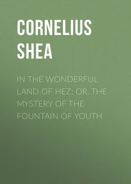 Cornelius Shea In the Wonderful Land of Hez: or, The Mystery of the Fountain of Youth обложка книги