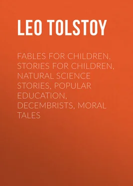 Leo Tolstoy Fables for Children, Stories for Children, Natural Science Stories, Popular Education, Decembrists, Moral Tales обложка книги