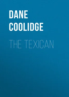 Dane Coolidge The Texican обложка книги